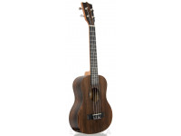 Tanglewood TWT19 Tanglewood TWT19